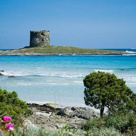 Vacanze Sardegna Apartment Санта Тереза Галура Екстериор снимка