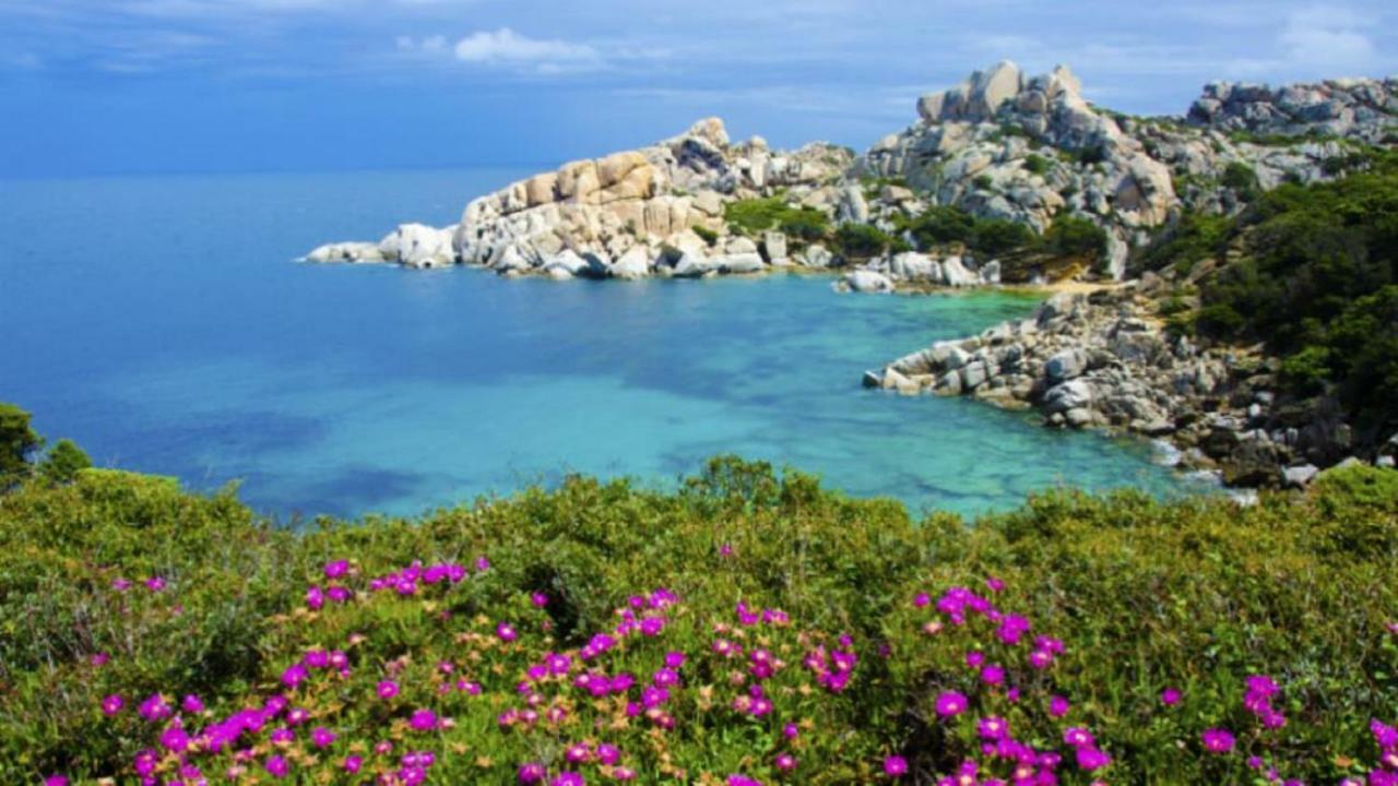 Vacanze Sardegna Apartment Санта Тереза Галура Екстериор снимка