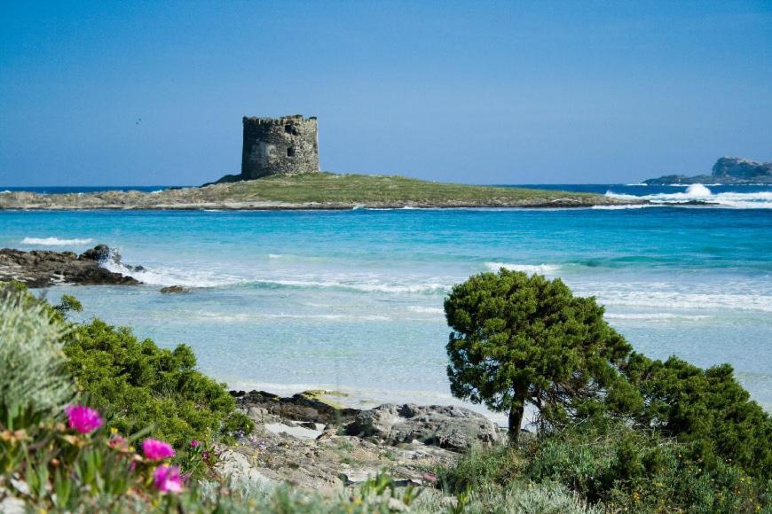 Vacanze Sardegna Apartment Санта Тереза Галура Екстериор снимка